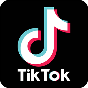 Icon Tiktok